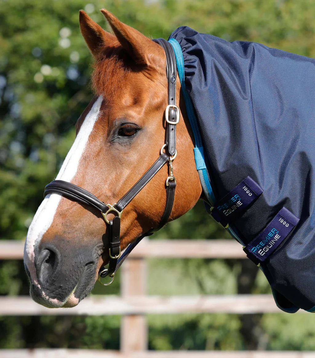Buster Storm 100g Combo Turnout Rug with Snug-Fit Neck