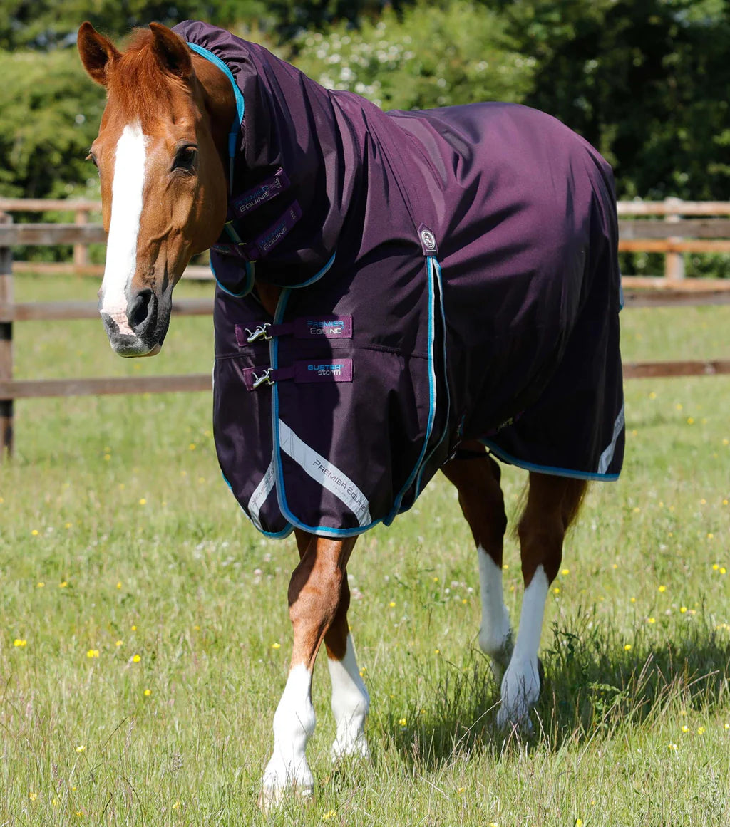 Buster Storm 100g Combo Turnout Rug with Snug-Fit Neck